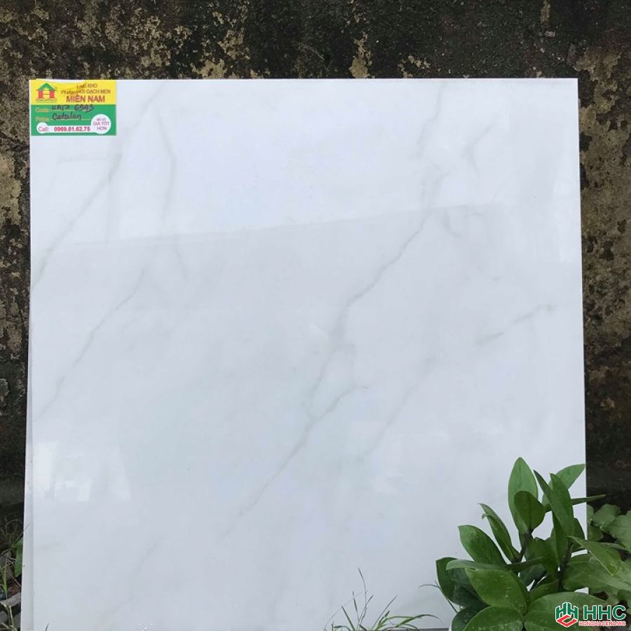 Gạch lát nền catalan 60x60 K176943